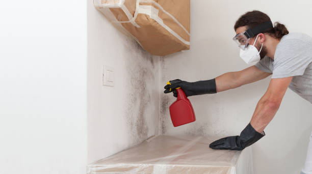 Professional Mold Removal technician working in Manns Choice, PA